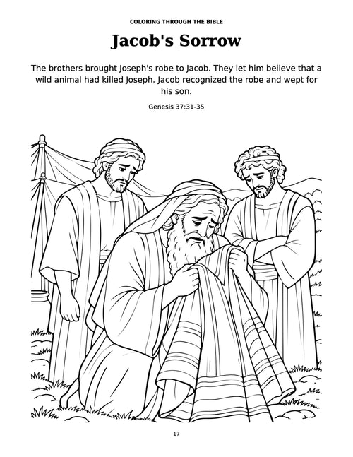 Bible Story Joseph Coloring Book
